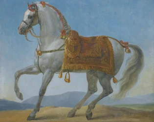 Napoleon Bonapartes Araberhengst, Marengo